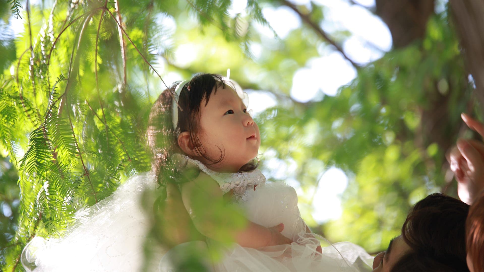 아기 성장 기록 - 시기별 촬영