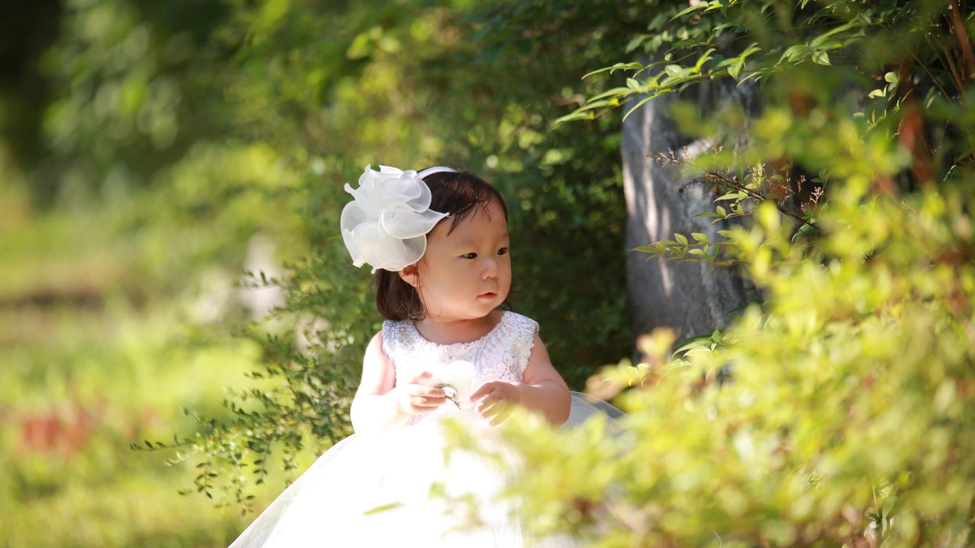 돌잡이 촬영 팁 - 감동의 순간